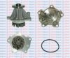 AQUAPLUS 85-3145 Water Pump